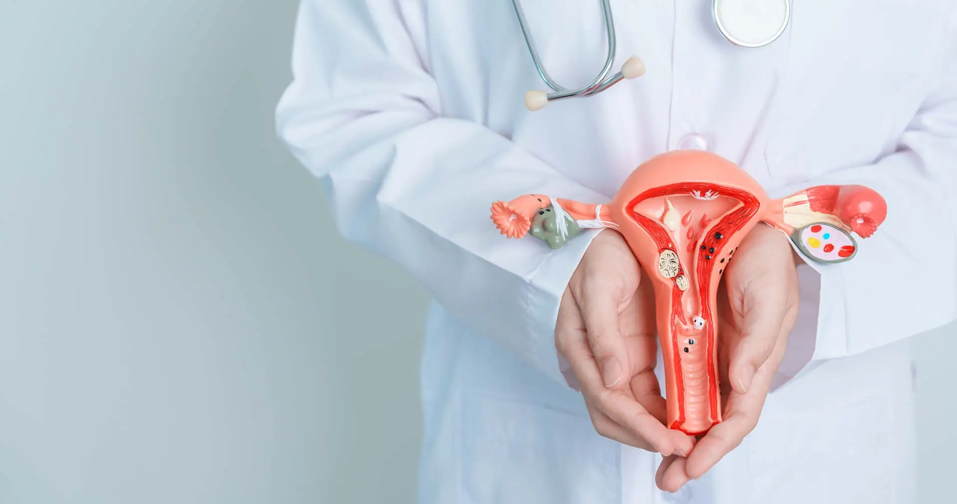 endometrio engrosado menopausia