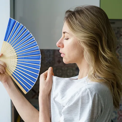 sofocos menopausia